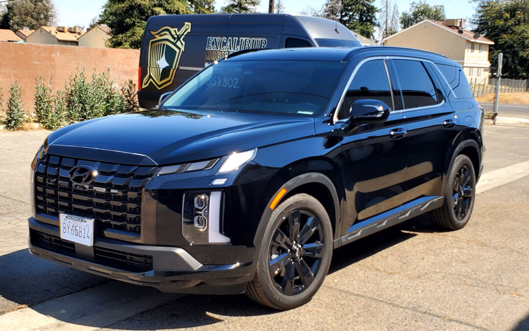 2023 Hyundai Palisade 7-Year Coating